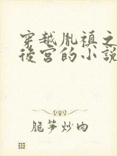 穿越胤禛之极品后宫的小说免费阅读