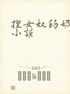 捏女奴的奶子 小说