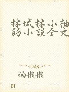 林城林小柚父女的小说全文阅读封面