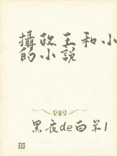 摄政王和小皇上的小说