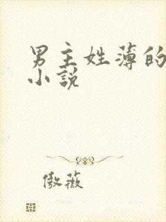 男主姓薄的总裁小说
