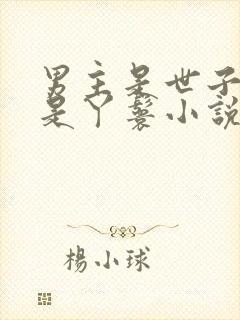 男主是世子女主是丫鬟小说封面