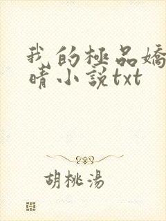 我的极品娇妻苏晴小说txt