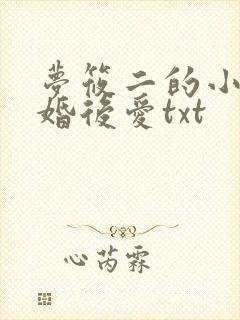 梦筱二的小说先婚后爱txt