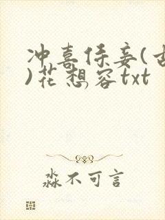 冲喜侍妾(古言)花想容txt封面