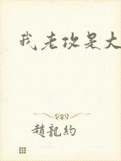 我老攻是大反派