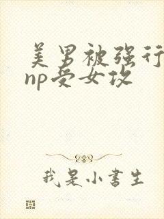 美男被强行糟蹋np受女攻