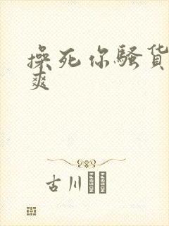 操死你骚货爽不爽封面