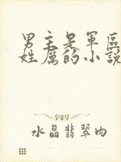 男主是军区首长姓厉的小说