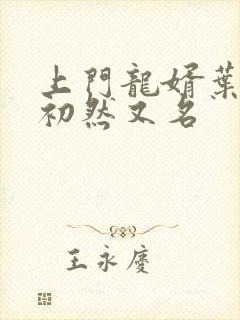 上门龙婿叶辰萧初然又名