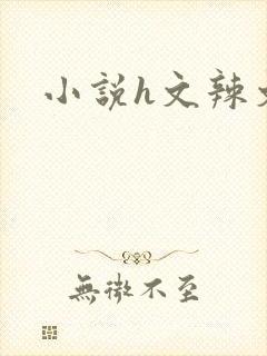 小说h文辣文