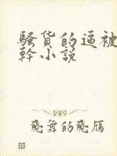 骚货的逼被男人干小说