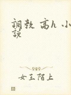 调教 高h 小说