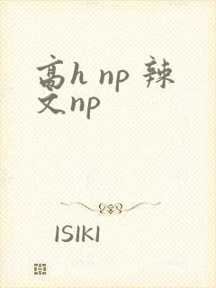 高h np 辣文np