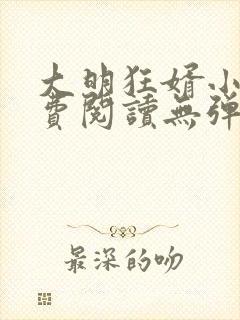 大明狂婿小说免费阅读无弹窗