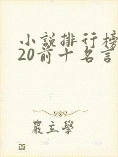 小说排行榜2020前十名言情封面