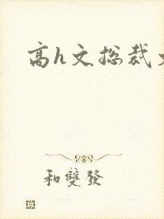 高h文总裁文封面