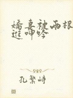 娇妻被两根一起进呻吟封面