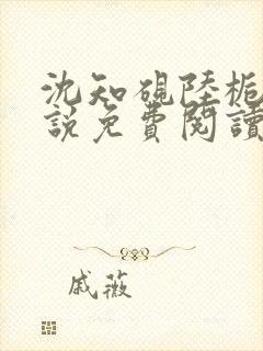 沈知砚陆栀夏小说免费阅读最新章节