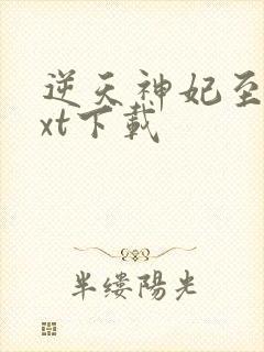 逆天神妃至上txt下载封面