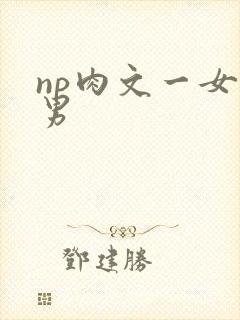 np肉文一女多男