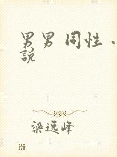 男男 同性 小说