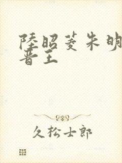 陆昭菱朱明浩和晋王