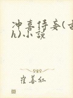 冲喜侍妾(古言h)小说