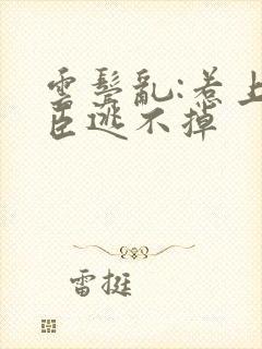 云鬓乱:惹上奸臣逃不掉封面