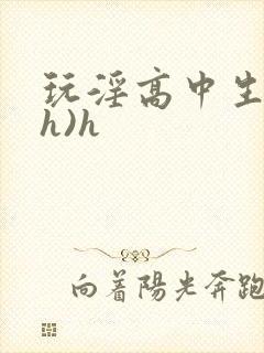 玩淫高中生(高h)h