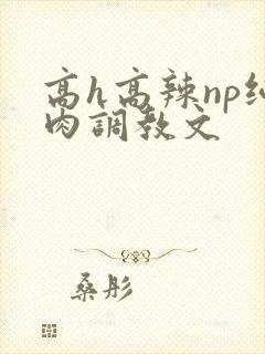 高h高辣np纯肉调教文