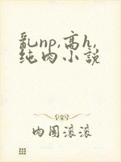 乱np,高h,纯肉小说