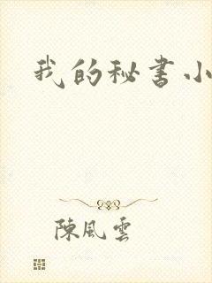 我的秘书小姐