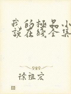 我的极品小姨小说在线全集封面