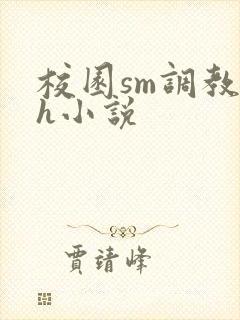 校园sm调教高h小说