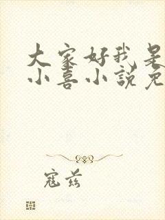 大家好我是叫林小喜小说免费阅读