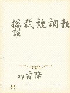 总裁被调教的小说