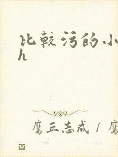 比较污的小说高h封面