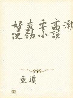 好爽要高潮了快使劲小说