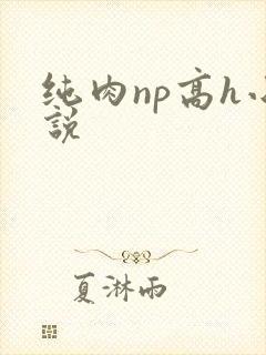 纯肉np高h小说