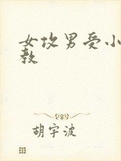 女攻男受小说调教