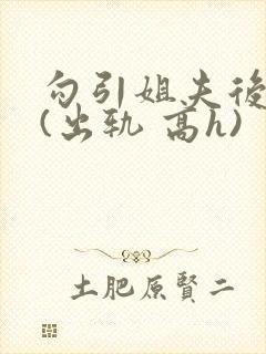 勾引姐夫后日夜(出轨 高h)