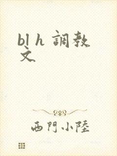 bl h 调教文