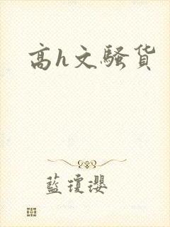 高h文骚货