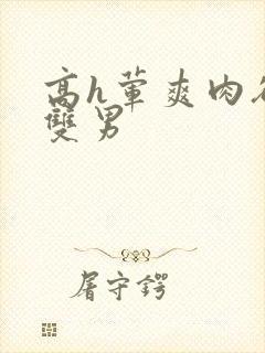 高h荤爽肉欲文双男