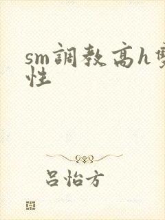 sm调教高h双性