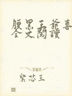 腹黑王爷喜当爹全文阅读