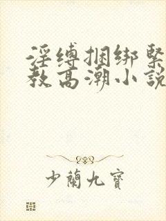 淫缚捆绑紧缚调教高潮小说