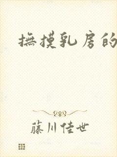 抚摸乳房的小说