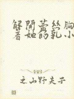 解开蕾丝胸罩揉着她的乳小说